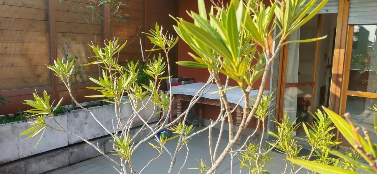 Meraviglioso Super Attico Con Terrazza 米兰 外观 照片